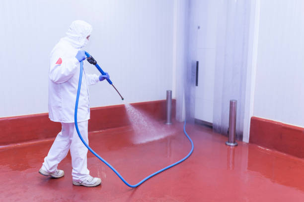 Best Paint Preparation  in Ruston, LA